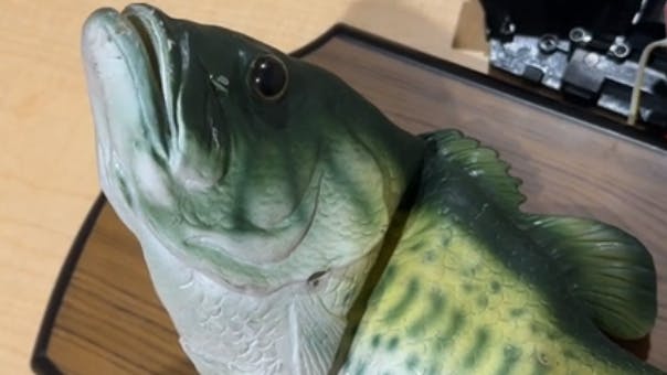 Технодурка: голосовой помощник с ChatGPT из настенной поющей рыбы