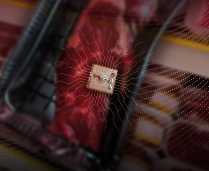 Сделали датчик, который предупреждает о порче богатых белком продуктов