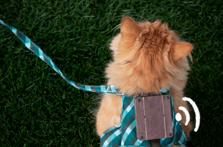 Технодурка: GPS-трекер для котика