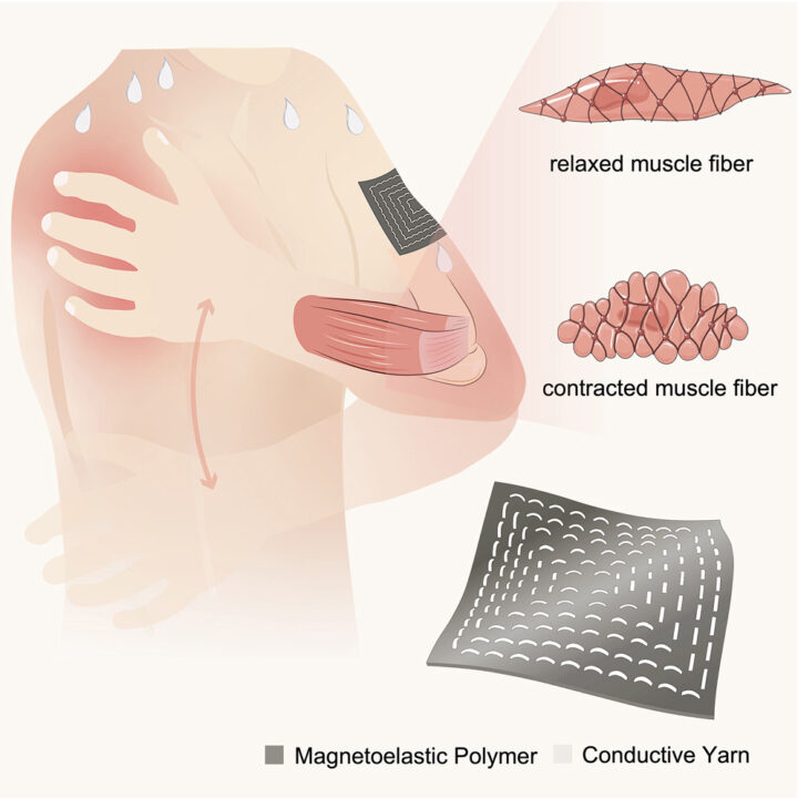 Создали умный пластырь, который обнаруживает и измеряет движения тела через кожу