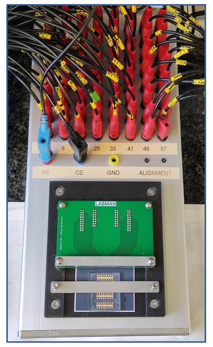 Разработали устройство, которое быстро определяет риск остеопороза по капле крови