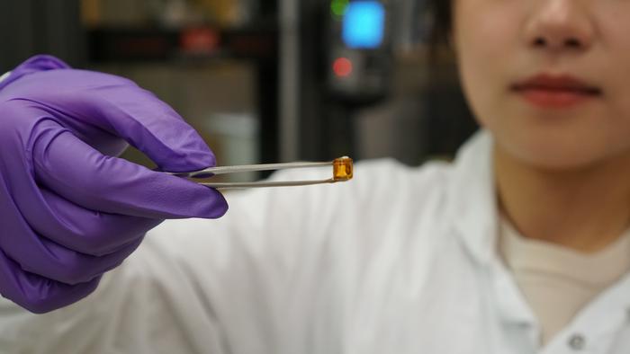 Изобрели биоразлагаемый гель, который помогает восстанавливать хрящи