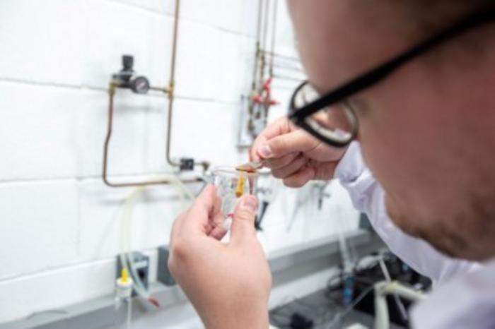 Разработали биоразлагаемую плёнку, которая дольше сохраняет продукты свежими