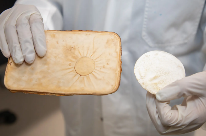 Сделали противопожарный материал из грибов