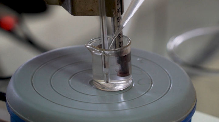 В России разработали дрожжевой датчик для быстрой оценки загрязнения водоёмов