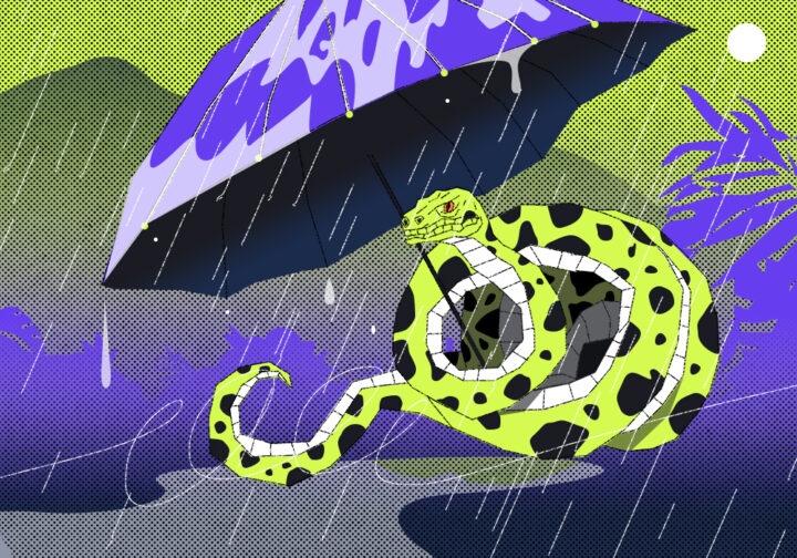 Собираем телеграм-бота с прогнозом погоды