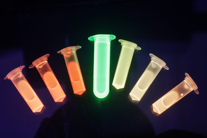 Российские учёные разработали наносенсоры для снижения побочных эффектов химиотерапии