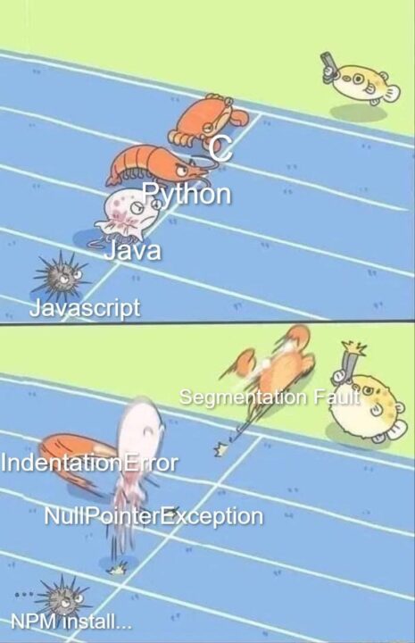 Пояснительная бригада: языки программирования