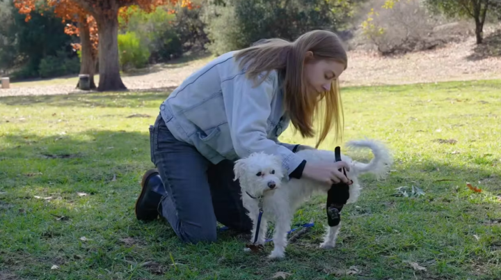 Технодурка: роботизированный экзоскелет для трёхлапой собачки