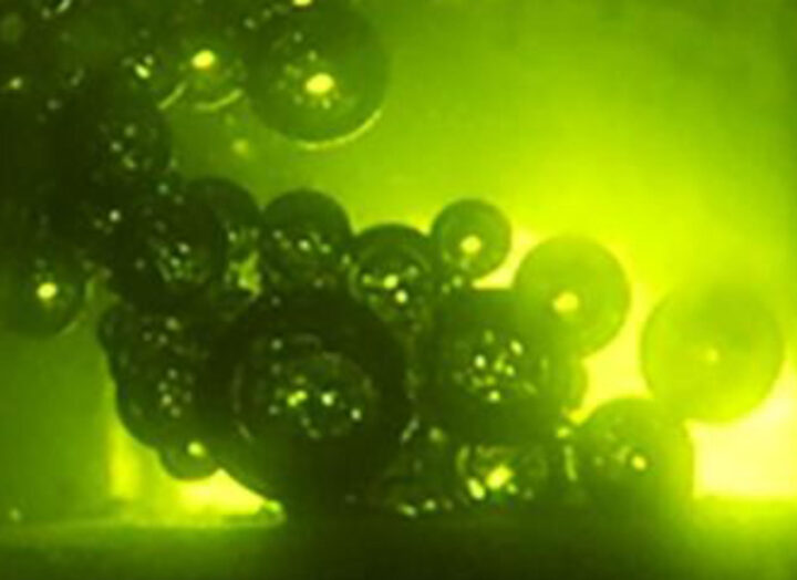 Космическая картошечка фри: жарим в невесомости