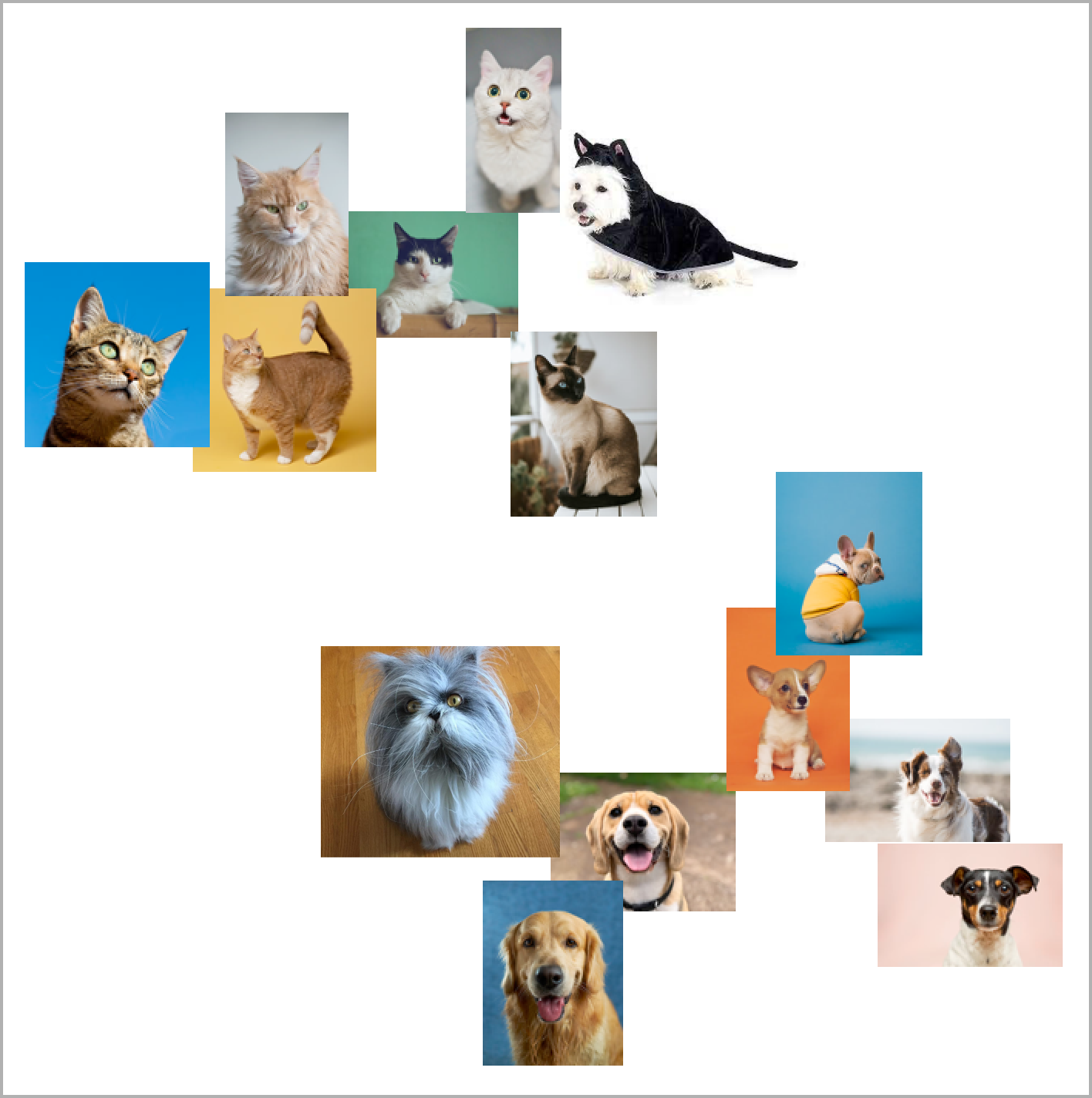 Машинное зрение: как компьютер распознаёт даже плохой почерк и отличает котов от собак