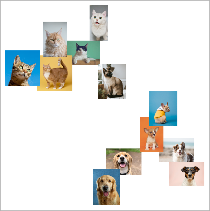 Машинное зрение: как компьютер распознаёт даже плохой почерк и отличает котов от собак