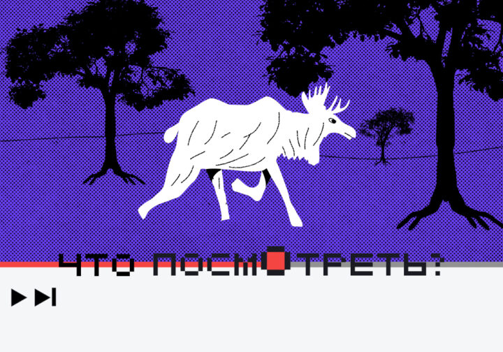 Что посмотреть: ютуб-каналы для ИТ-специалистов