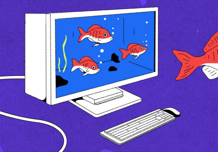 Веб-проект: делаем аквариум с разными обитателями