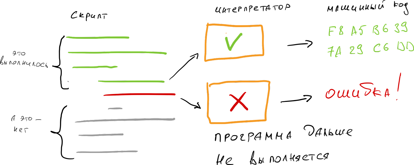 Чем отличается JavaScript и Python от C++ и Swift