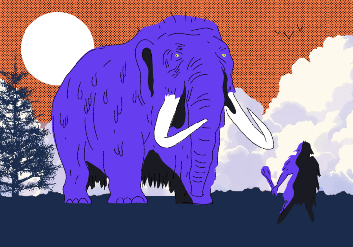 Как найти подход к коллегам, если вы джун