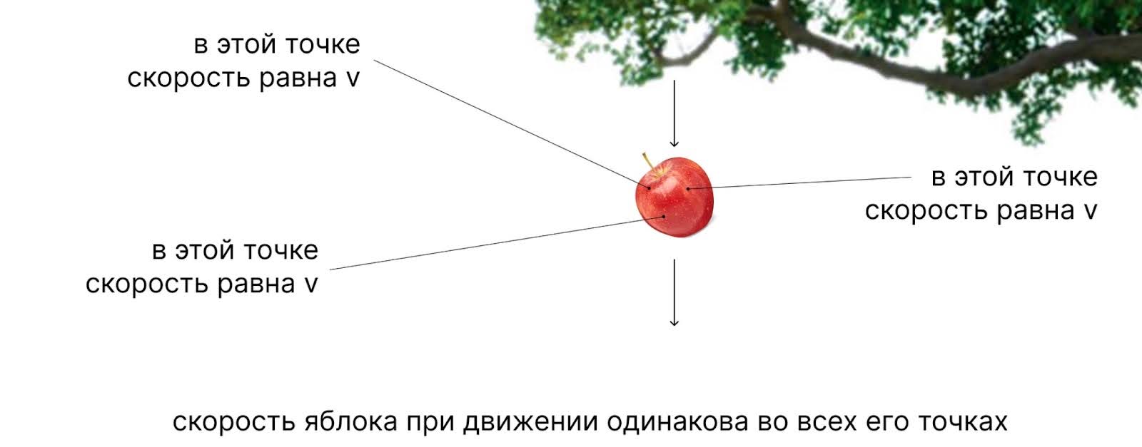 Уравнение Навье — Стокса и гипотеза Бёрча — Свиннертон-Дайера