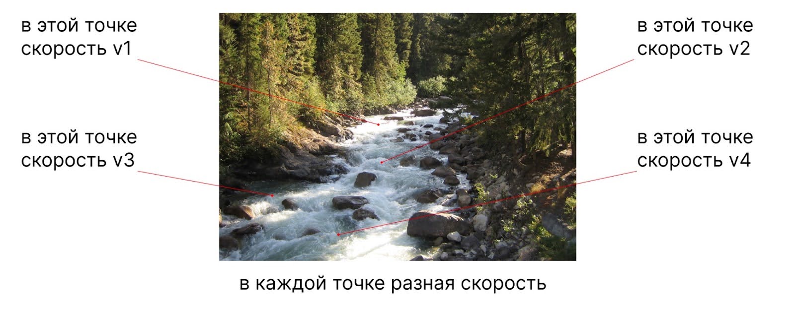 Уравнение Навье — Стокса и гипотеза Бёрча — Свиннертон-Дайера