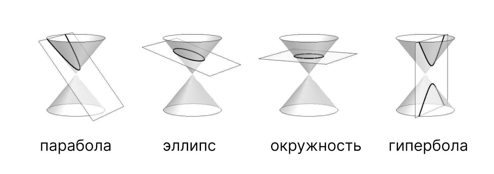 Гипотеза Бёрча — Свиннертон-Дайера