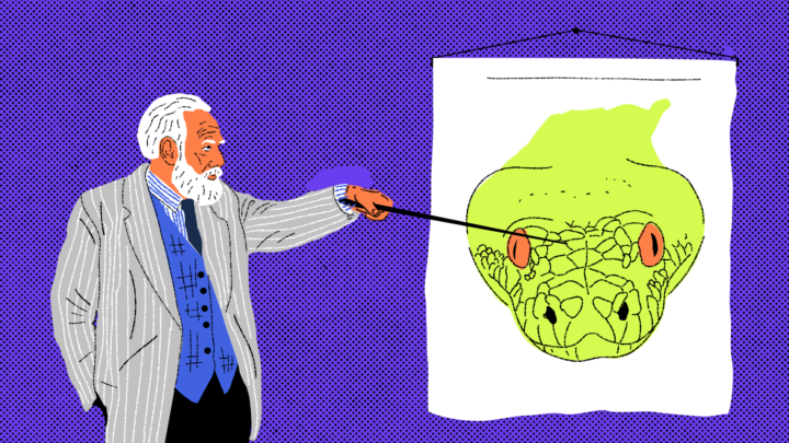 Matplotlib: полное руководство по визуализации данных