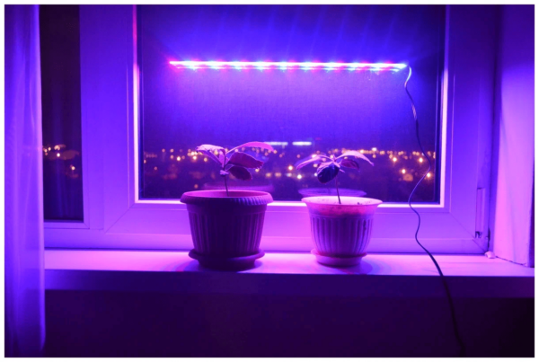 Как ускорить интернет и качество связи: СЕКРЕТНЫЕ техники, которые от нас скрывают инженеры и провайдеры