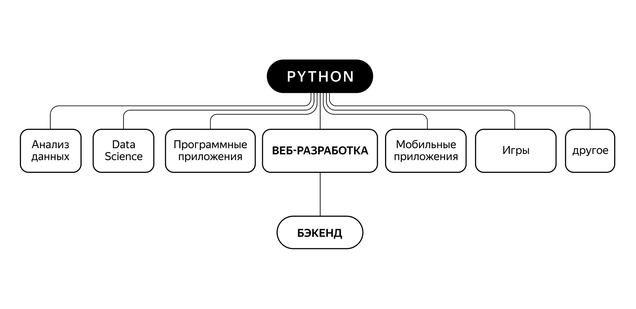 Обзор курса Практикума — Python-разработчик: начало работы и основы Python