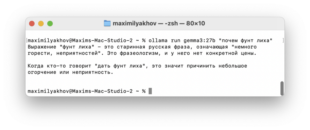 Как за 10 минут запустить нейронки локально на компьютере Apple