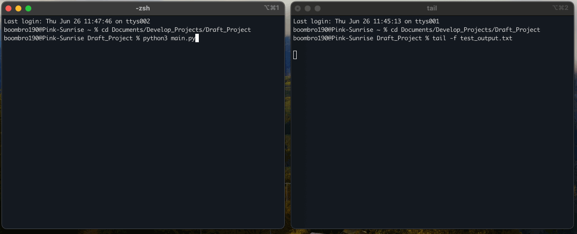 Функция print () в Python