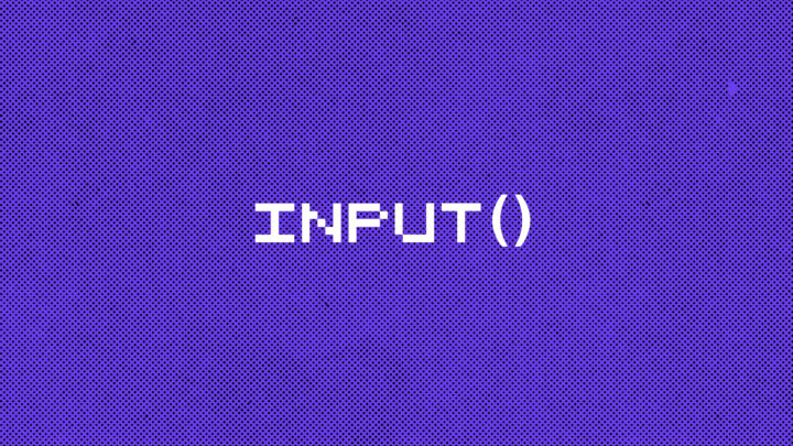 Функция input() в Python