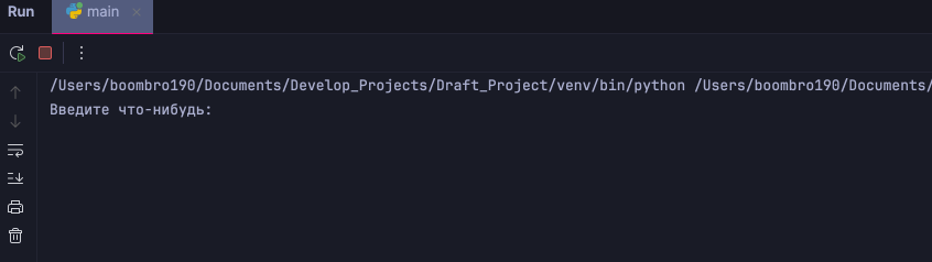 Функция input() в Python