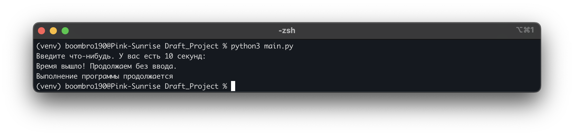 Функция input() в Python